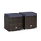 2 Pieces Patio Storage Ottoman with Removable and Washable Cushions